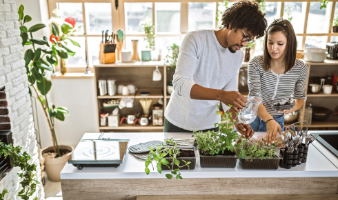 How can planting herbs near the kitchen door be both practical and attractive
