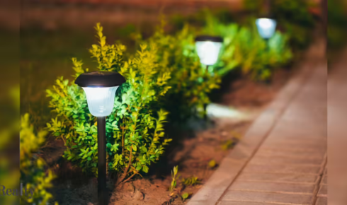 How can simple solar lights along a path change the mood of a garden in the evening